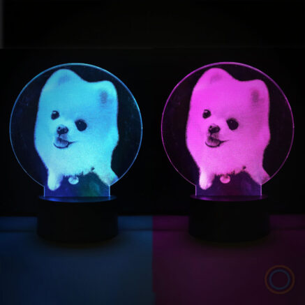 Pomeranian Pet Dog Desk Photo Lamp RGB Lights